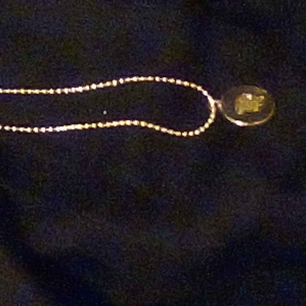 18 in goldtone neckless new never worn